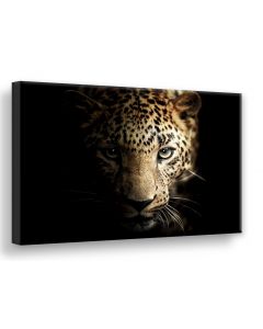 Tavla Canvas 75x100 Leopard