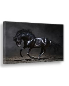 Tavla Canvas Silver 75x100 Black Horse