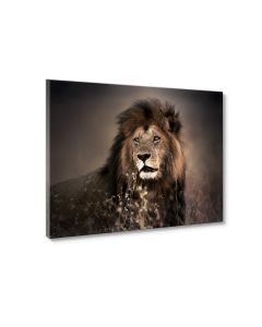 Tavla Canvas 70x50 Gold Lion