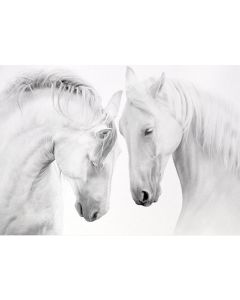 Tavla Canvas 50x70 White Horses
