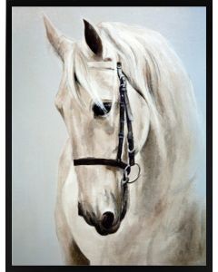Poster 30x40 Horse White (planpackad)