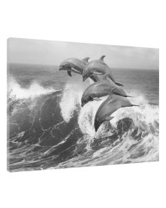 Tavla Canvas 75x100 Dolphins Black & White