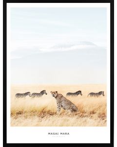Poster 30x40 Masai Mara Leopard (Planpackad)