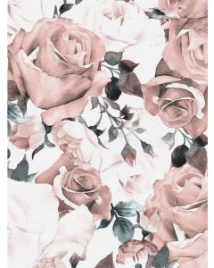 Poster 30x40 Pink Roses (Planpackad)